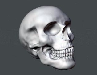 skull